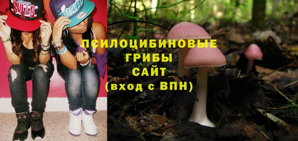 mdpv Баксан