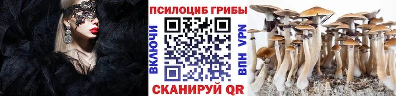 blacksprut ССЫЛКА  Бирюсинск  Галлюциногенные грибы GOLDEN TEACHER 